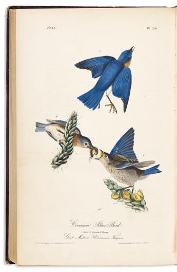 (BIRDS.) John James Audubon. The Birds of America.